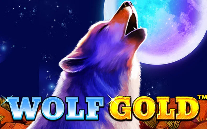 En Bet365 Casino, encontrarás el emocionante juego de tragamonedas Wolf Gold, donde podrás buscar riquezas bajo la luna llena.